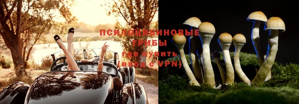 не бодяженный Абдулино